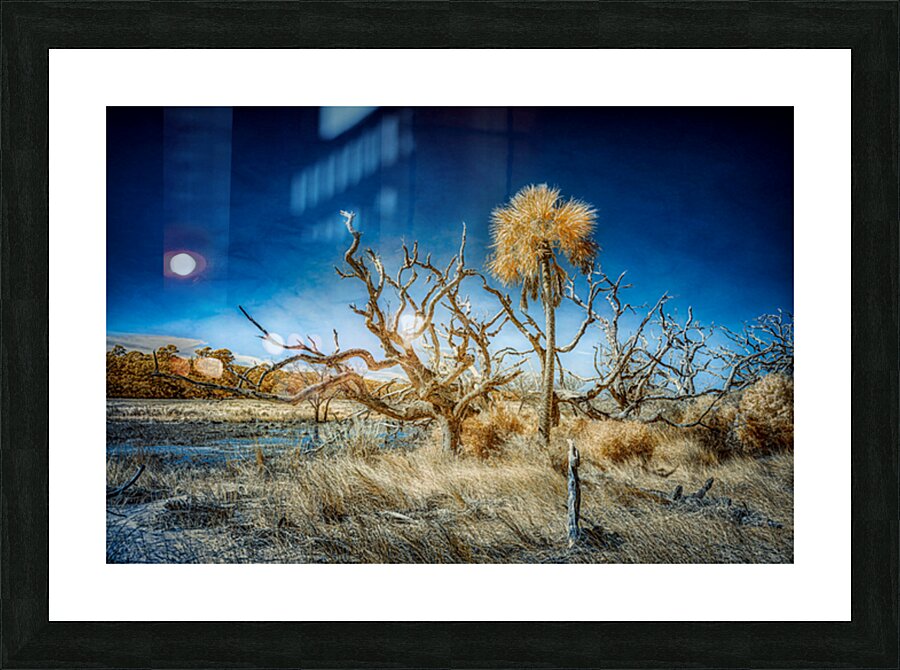 Isolated Serenity: Rows End Picture Frame print