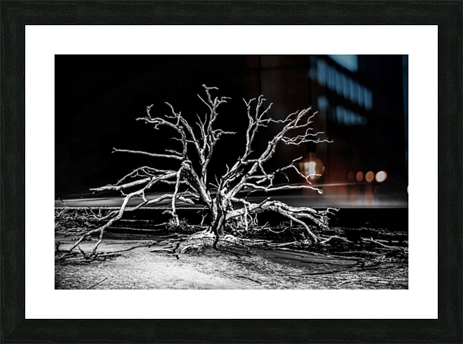 Ghost Dancer  Picture Frame print