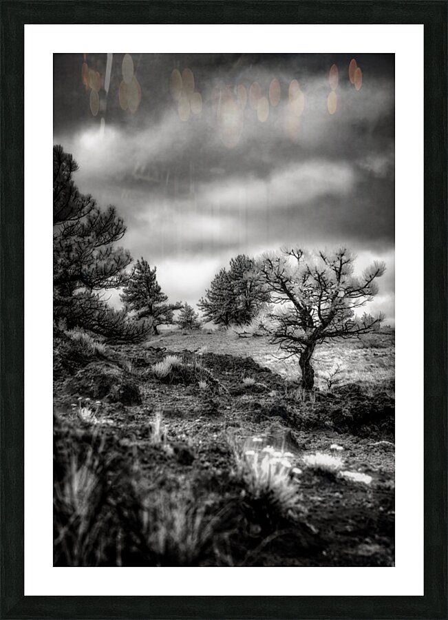 Solitude Unveiled: A Mystical Wyoming Lone Tree at Guernsey State Park Picture Frame print