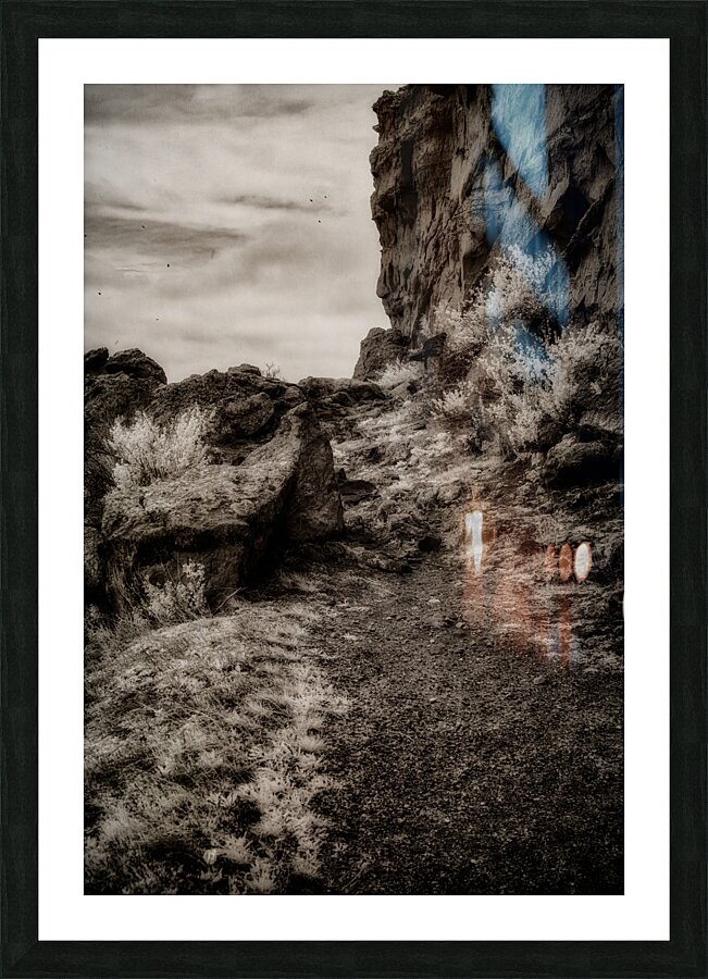 Silent Testaments of the Trail Picture Frame print