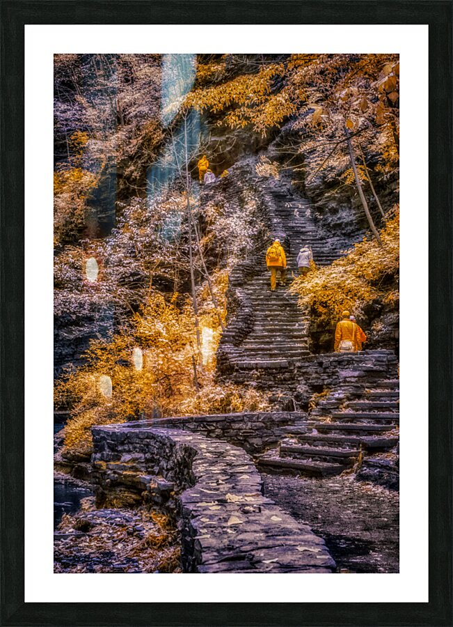 Golden Steps Ascent: A Color Infrared Symphony in Watkins Glen State Park Picture Frame print