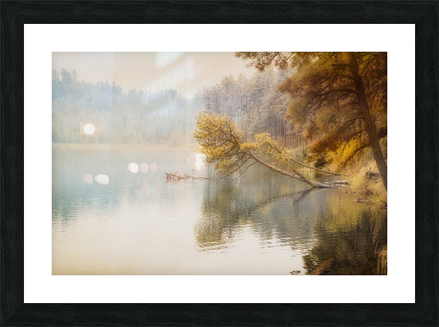 Canopy Cascade: Trees Adorn the Lakes Edge Picture Frame print