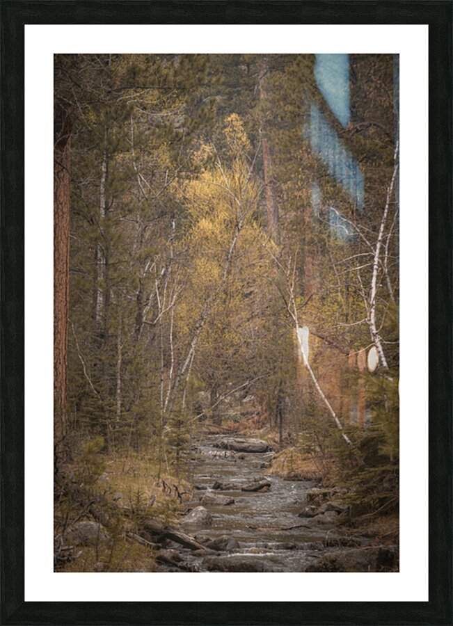 Black Hills Melody Picture Frame print