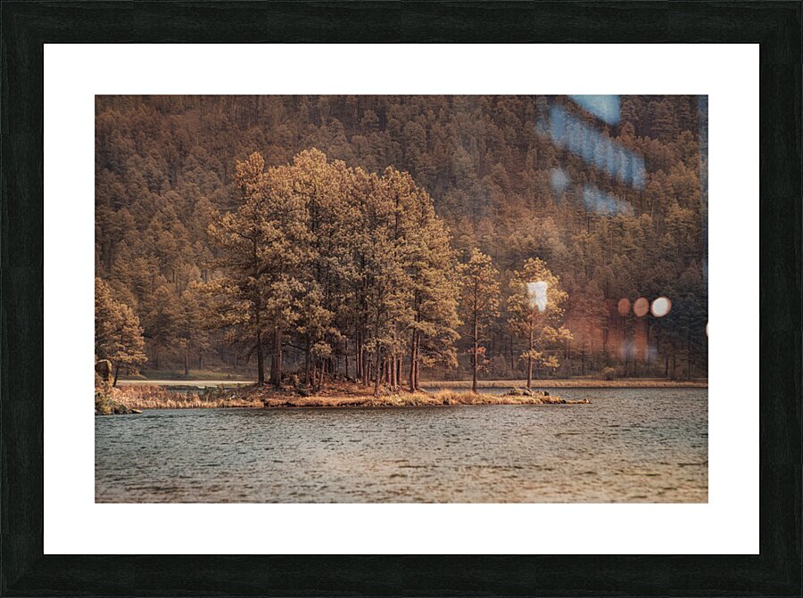 Forest Peninsula Picture Frame print