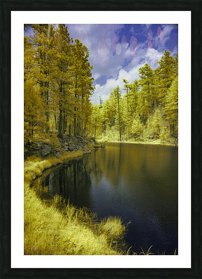 Whispers of Nature: Grace Coolidge Creeks Tranquil Reflections Picture Frame print