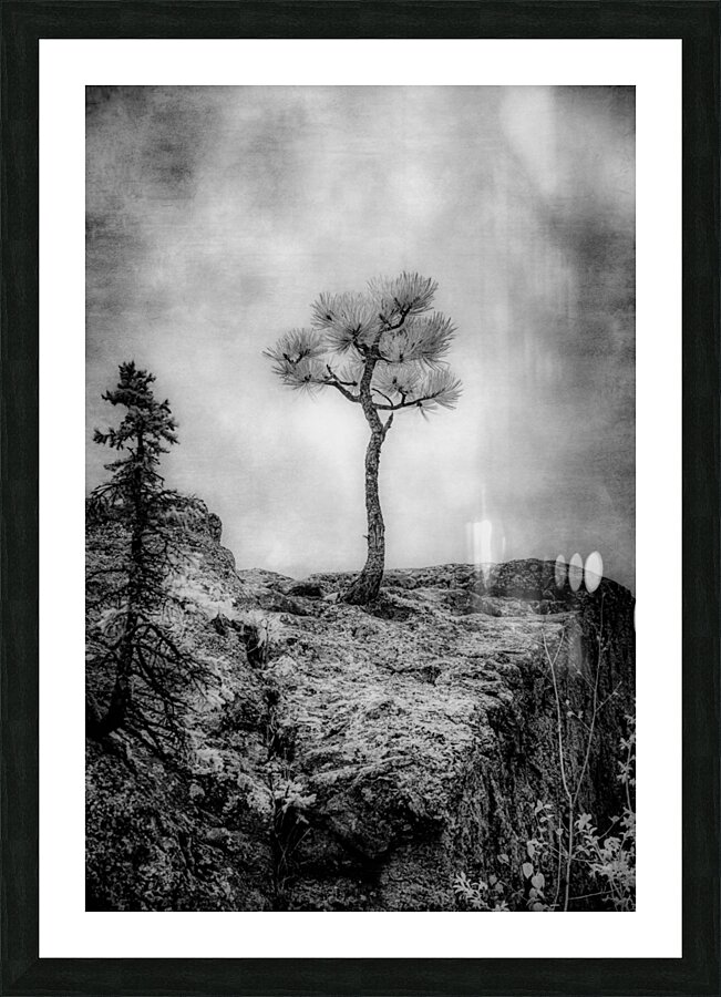 Serene Sylvan Lake: Alone on the Hill Picture Frame print