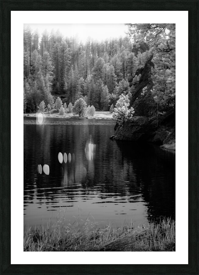 Enchanting Haze: Hazy Pines in Infrared at Sylvan Lake South Dakota Picture Frame print