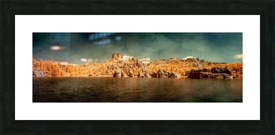 Sylvan Serenity: A Panoramic Odyssey at Custer State Park South Dakota Impression et Cadre photo