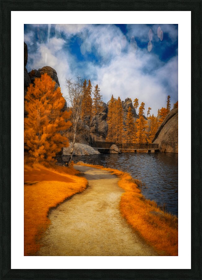  Autumnal Serenity: Sylvan Lake Path in Infrared Picture Frame print