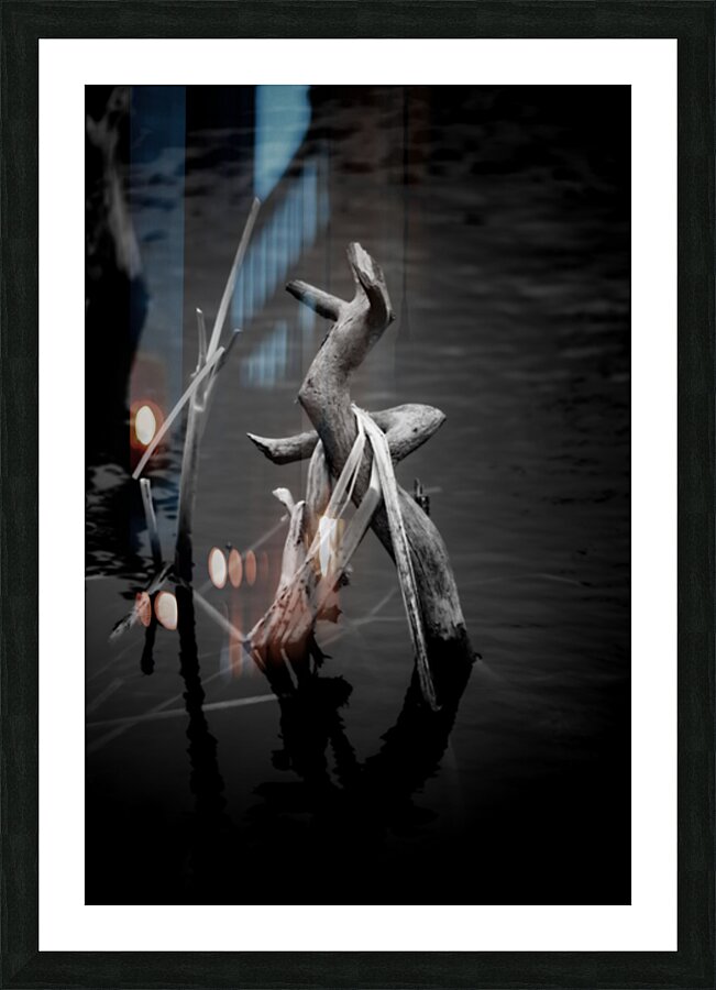 Sylvans Skeleton Waltz Impression et Cadre photo