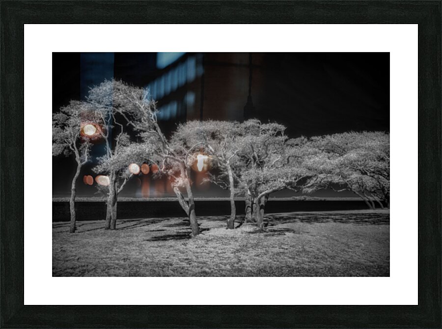 Enchanted Canopy: Exploring Gulf Shores Mystical Oaks Picture Frame print