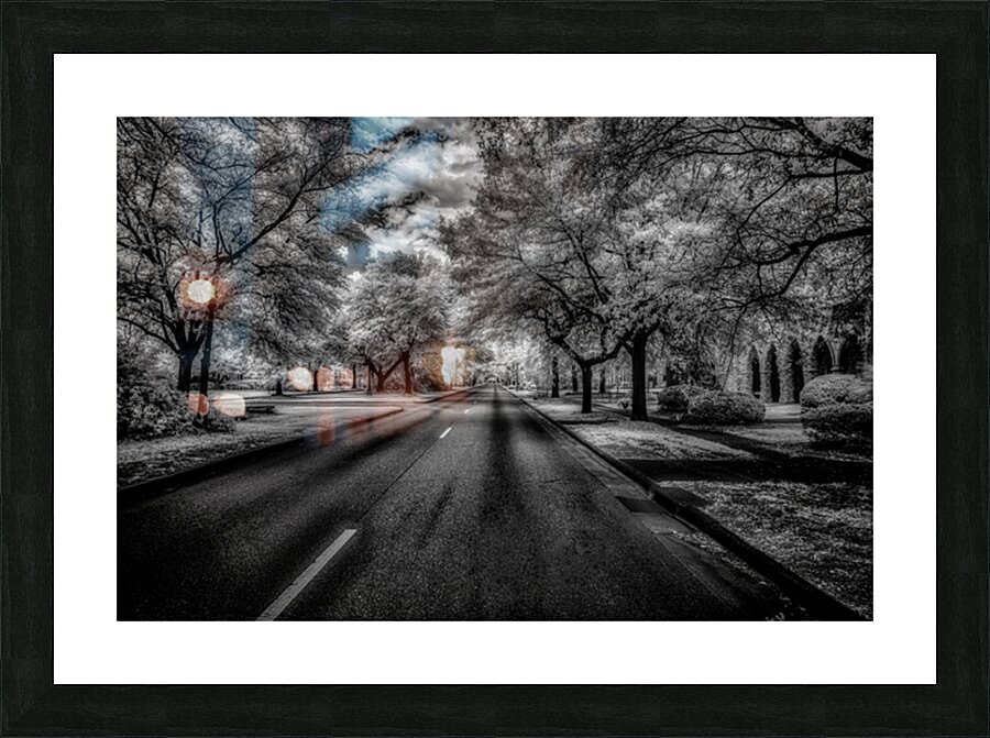 Eufaula Elegance: A Monochromatic Journey Through Time Picture Frame print