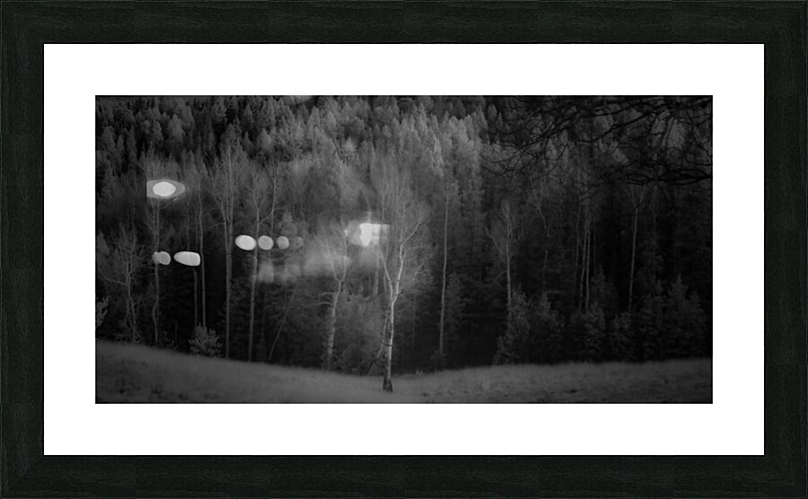Lighted Aspen Picture Frame print