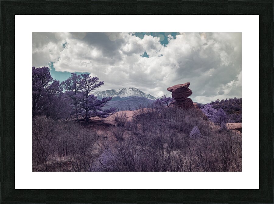 A Majestic Stroll: Capturing the Beauty of Pikes Peak Picture Frame print