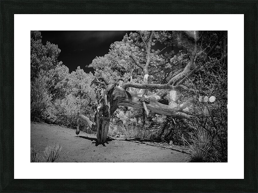 Mountain Guardians Rest Picture Frame print