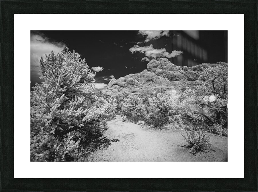 Garden Path - 2 Impression et Cadre photo