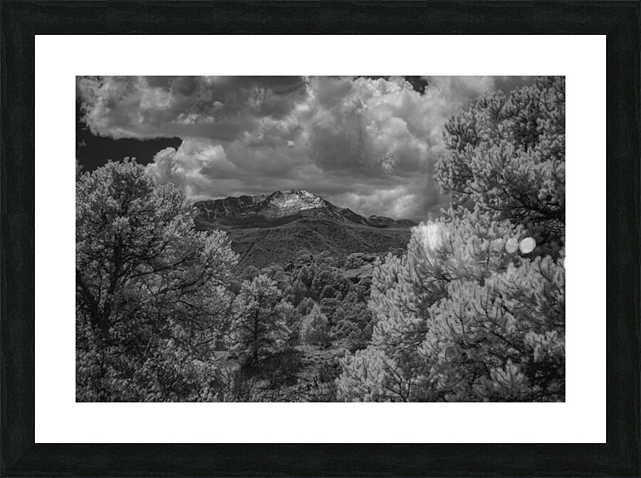 Majestic Pinnacle: A Serene Encounter on Scotchman Trail Garden of the Gods Picture Frame print