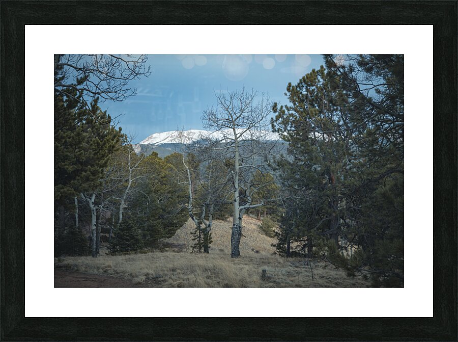 Mountain Meadow Serenity Picture Frame print