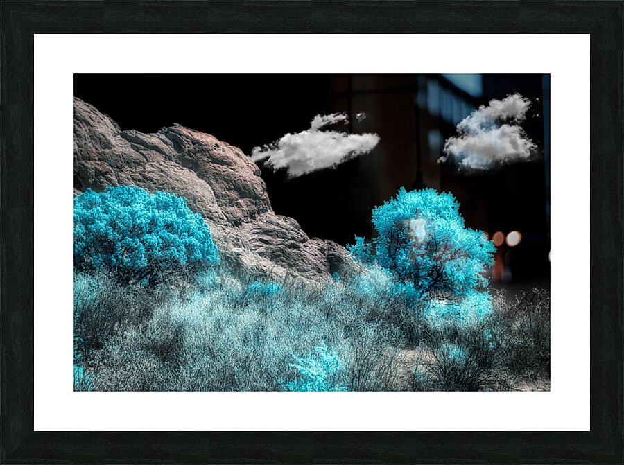 Majestic Rock Wall: Exploring Garden of the Gods Blue Mountain Trees Picture Frame print