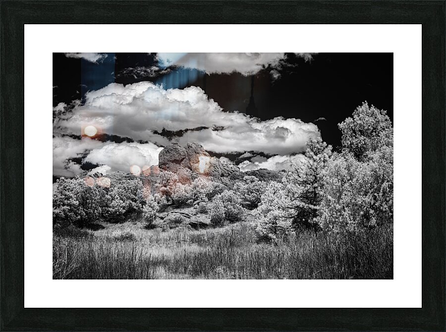 Garden of the Gods - 5 Picture Frame print