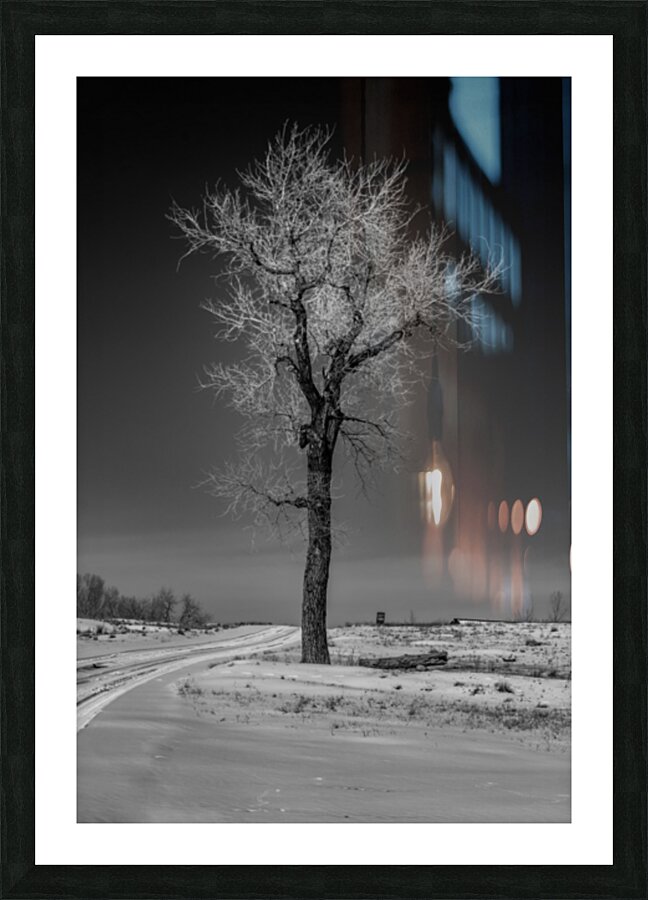 Winters Solitary Sentinel Picture Frame print