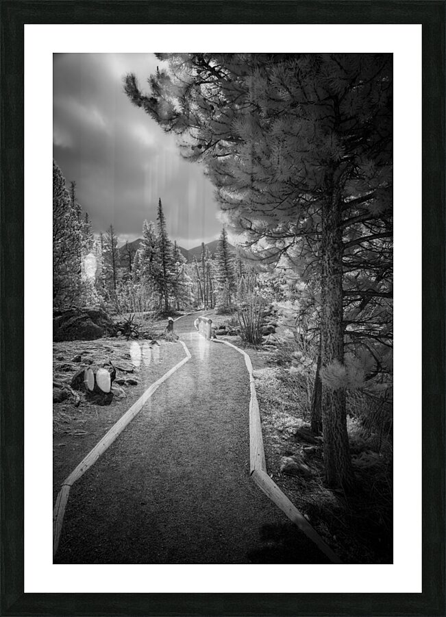 Sprague Lake Path Picture Frame print