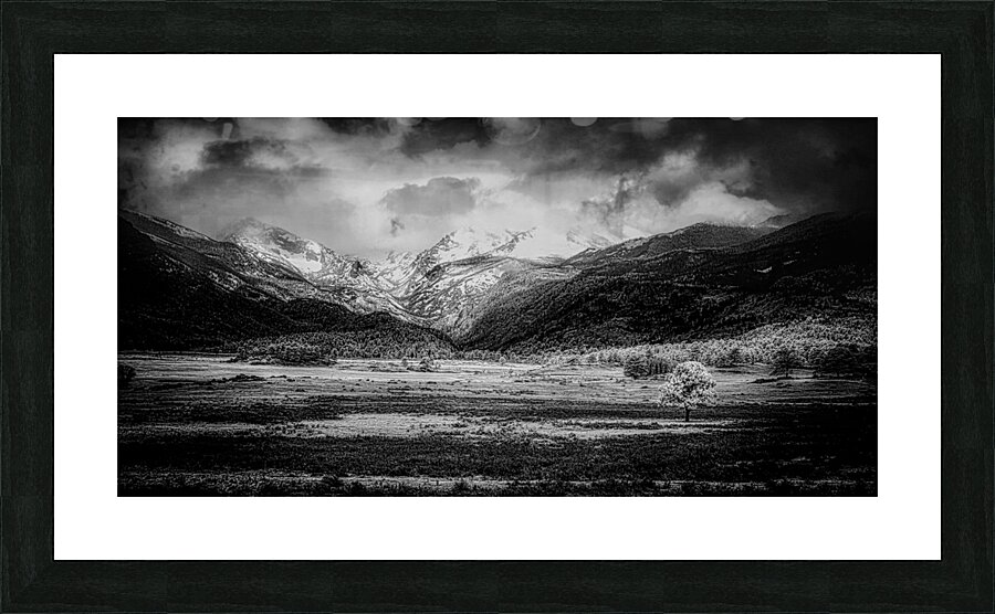 Mountains Embrace: Lone Valley Tree Picture Frame print
