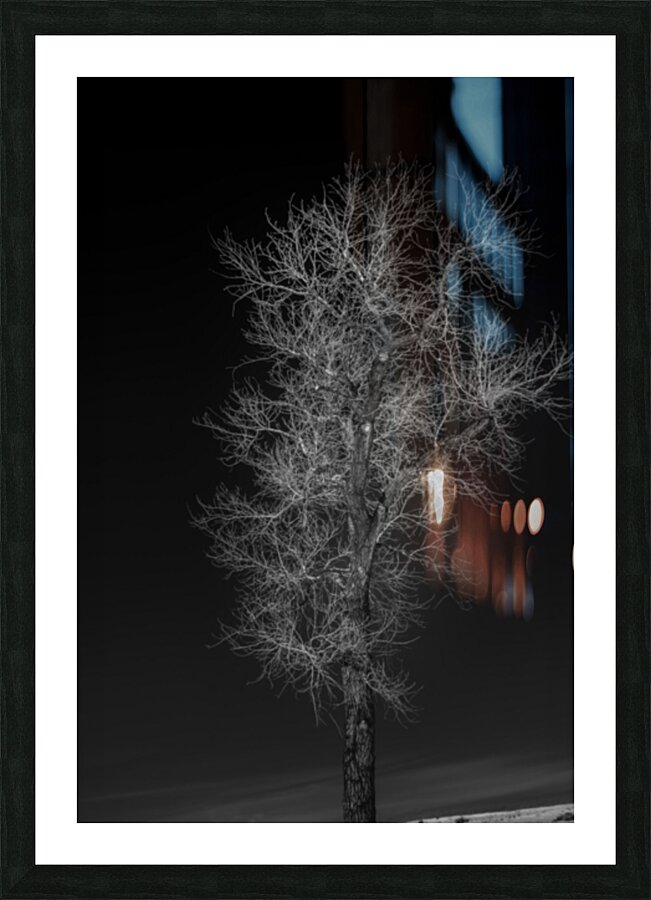 Winters Neural Network Impression et Cadre photo