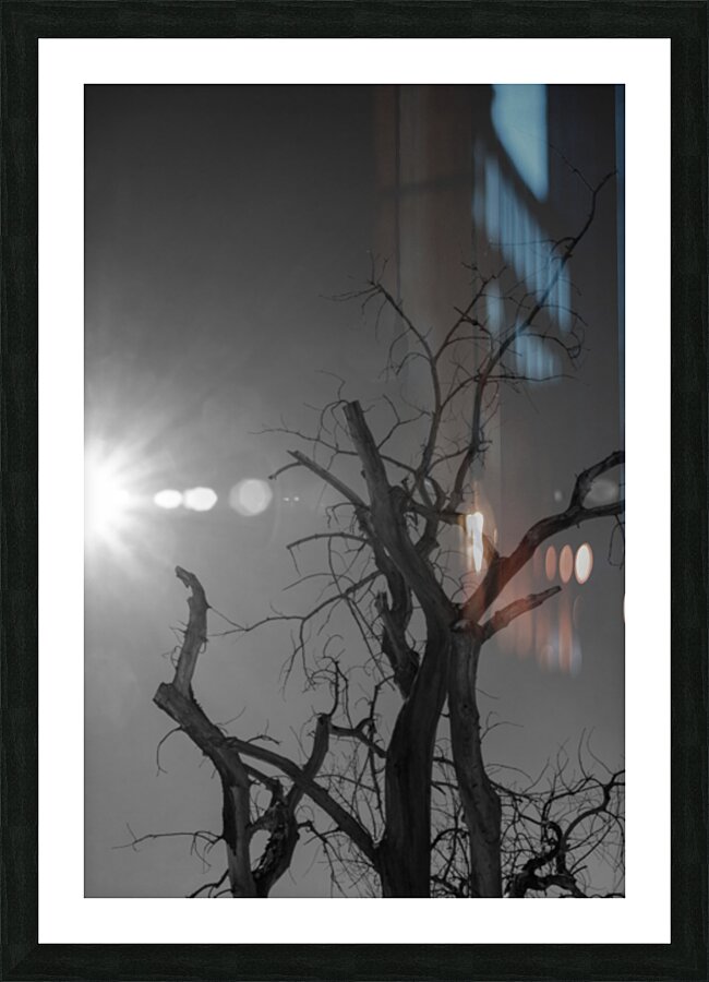 Luminous Legacy Picture Frame print