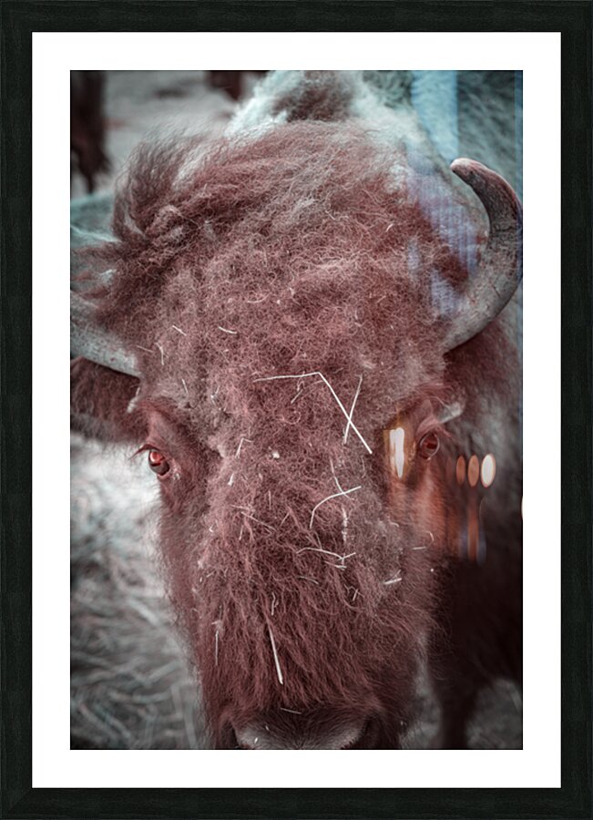 Unkempt Elegance Impression et Cadre photo