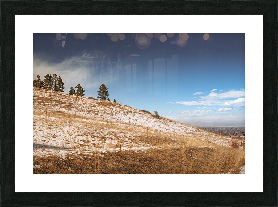 Chautauqua Chronicles: Pines on a Hill Picture Frame print