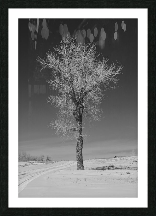 Tall Picture Frame print