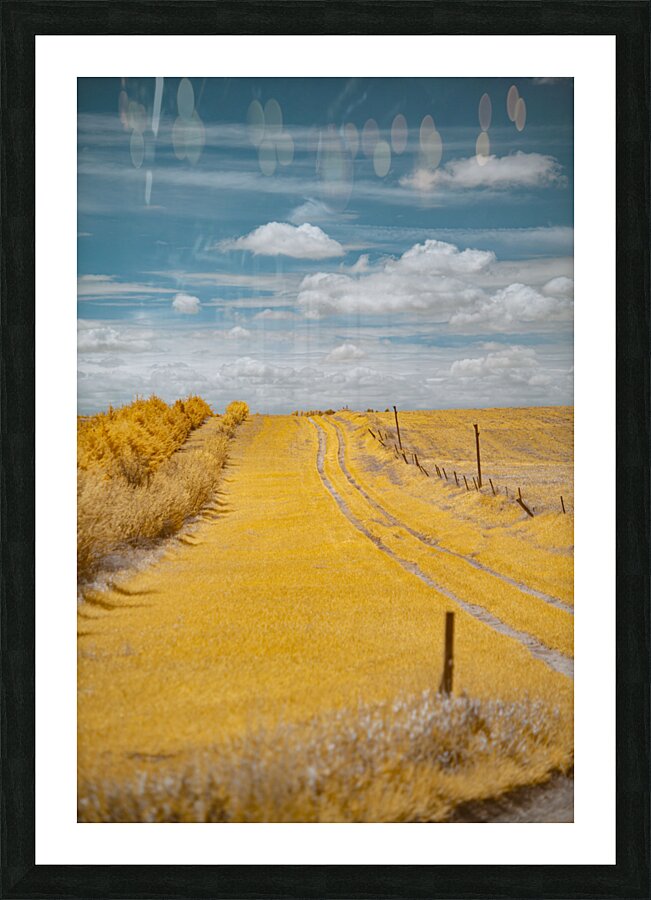 Nebraska Farm Lane - 3 Picture Frame print