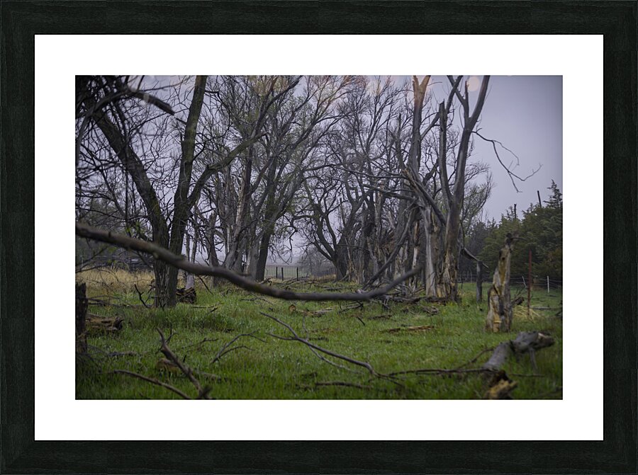 Nebraska Farm - 23 Impression et Cadre photo