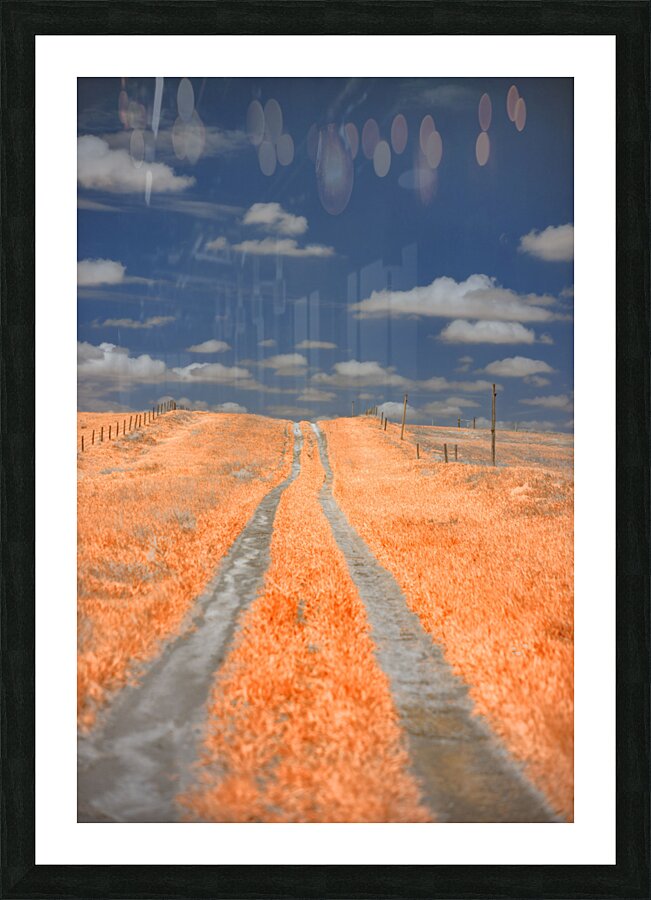 Nebraska Red Farmlane Picture Frame print