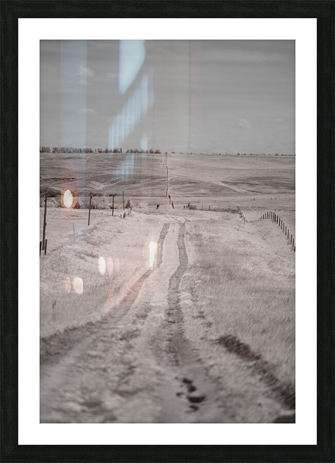 Nebraska Farm Lane -1  Picture Frame print