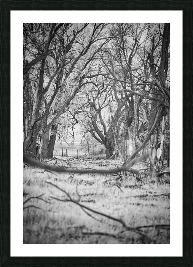 Nebraska Farm - 21 Picture Frame print