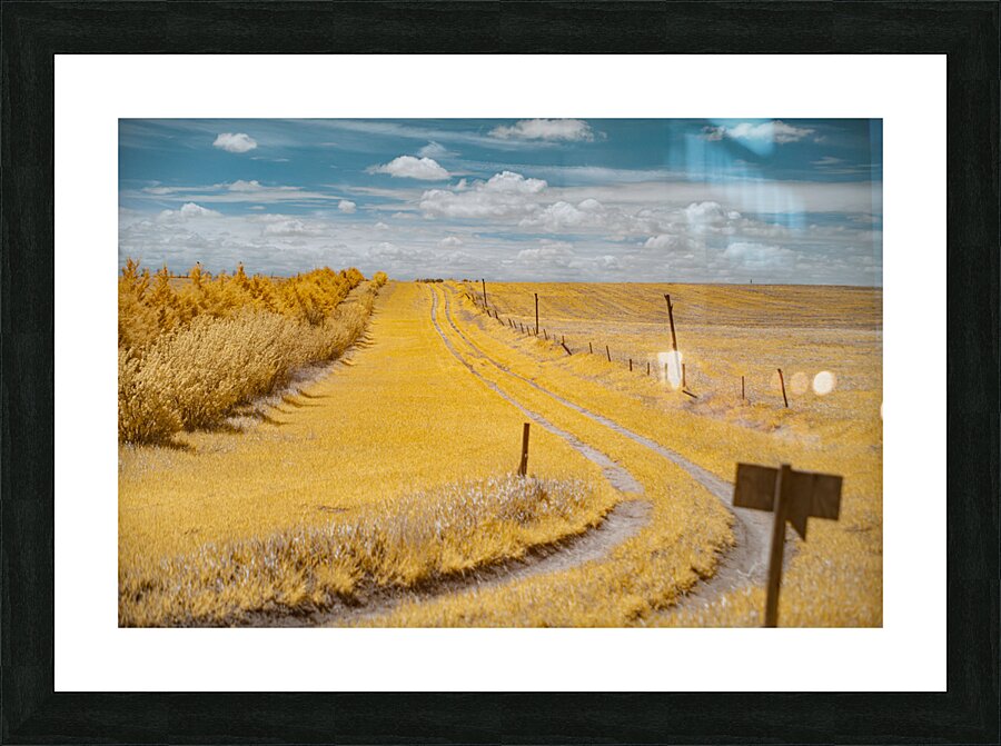 Nebraska Farm Lane - 2 Picture Frame print