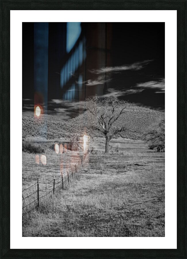 Whispers of Isolation in Monochrome Picture Frame print