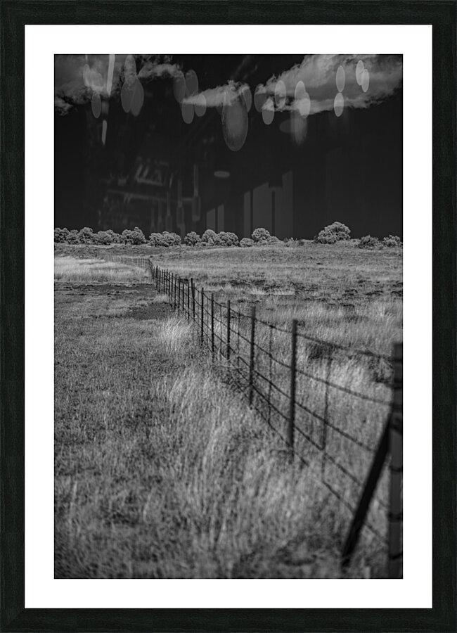 Fenceline Whisper in Monochrome Picture Frame print