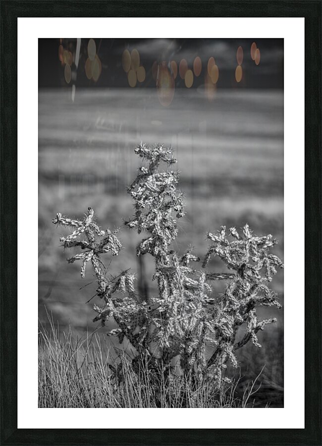 Solitude of Spine Picture Frame print