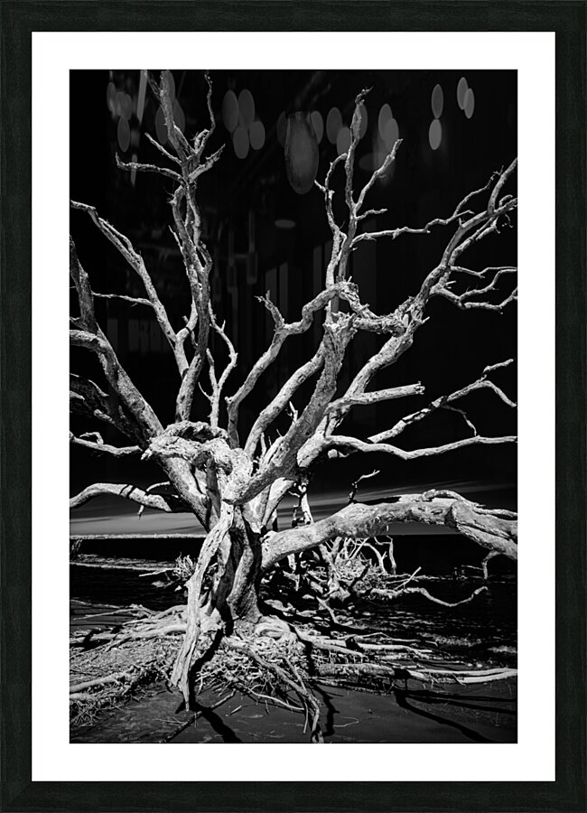 Fingers Picture Frame print