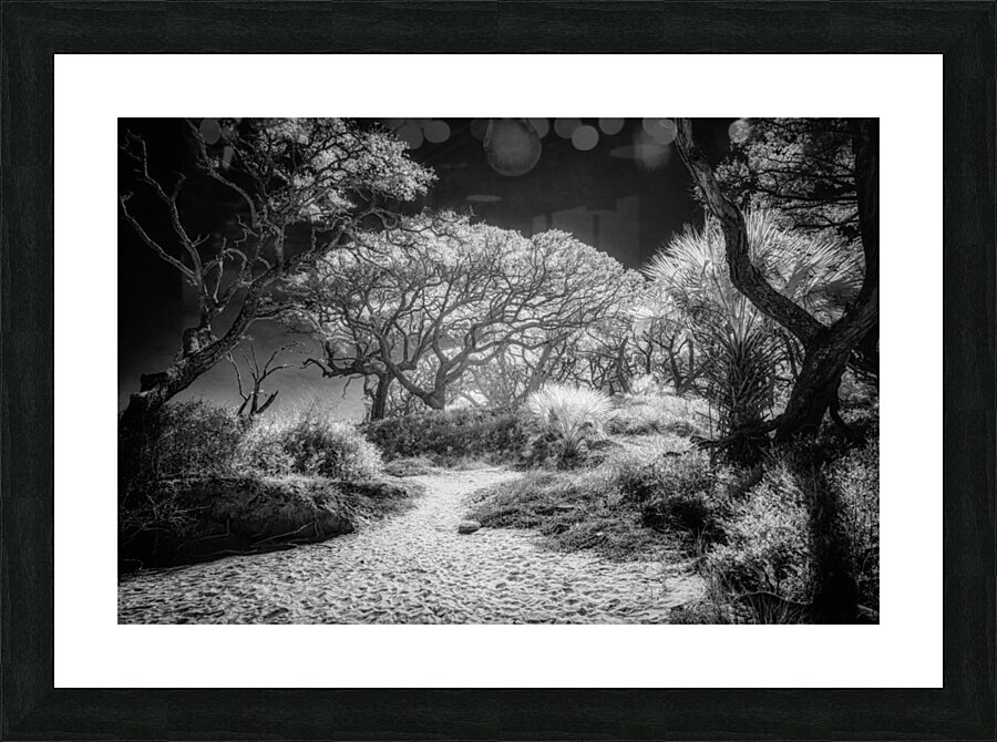 Island Path Picture Frame print