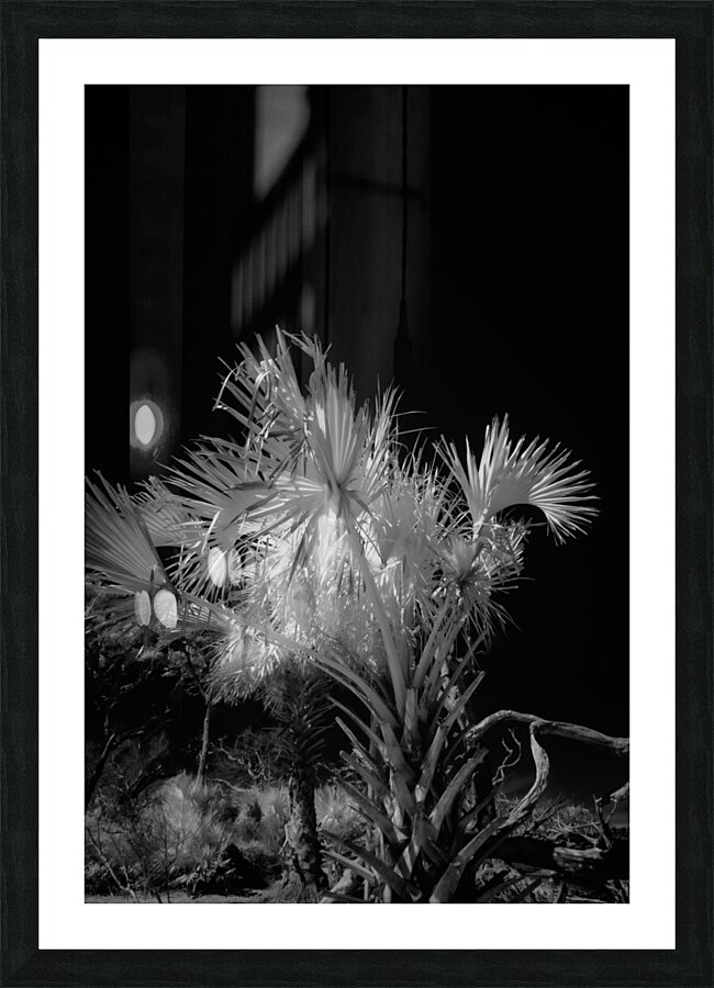 Ethereal Foliage Impression et Cadre photo