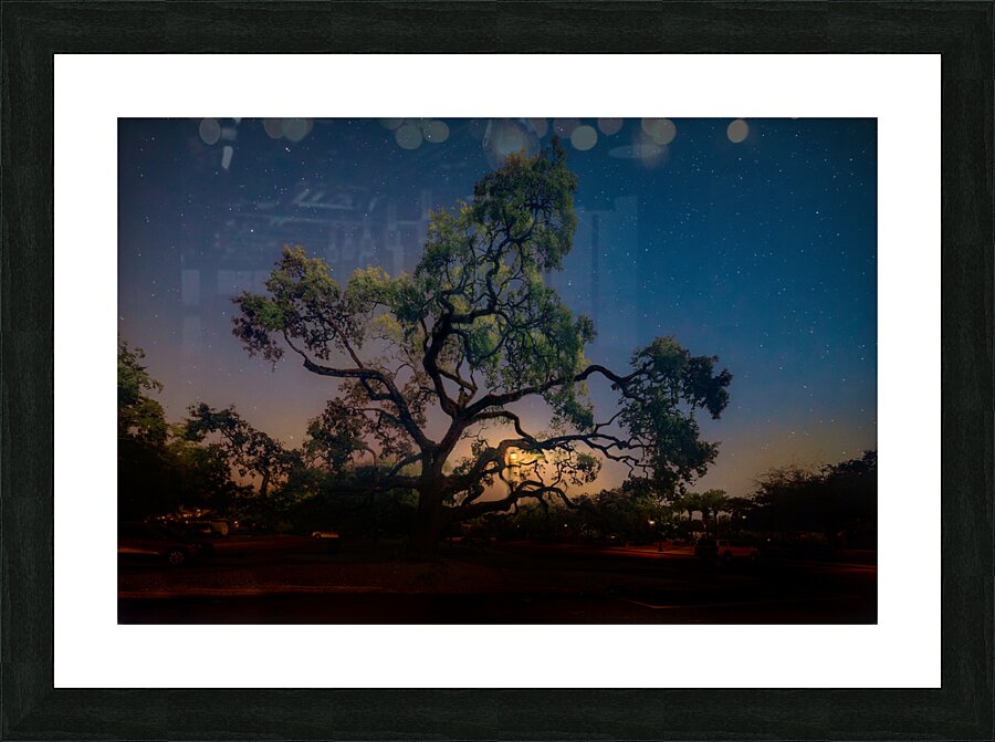 Whispers of Light: Lighting the Night Picture Frame print