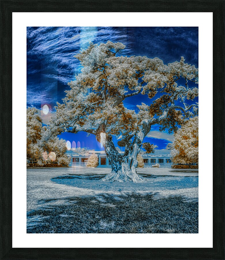 Casino Oak Impression et Cadre photo