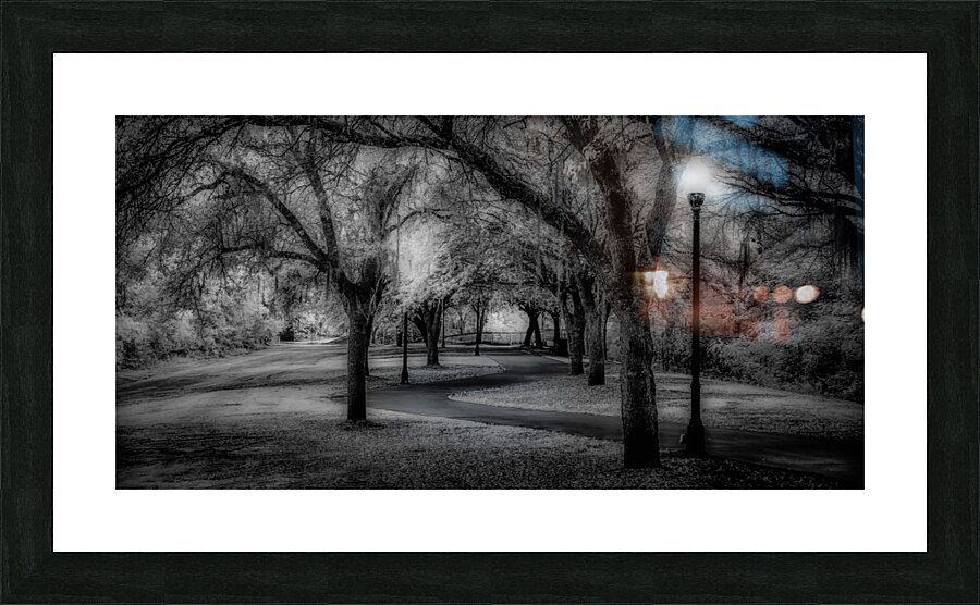 Curvy Dusk Walkway Picture Frame print