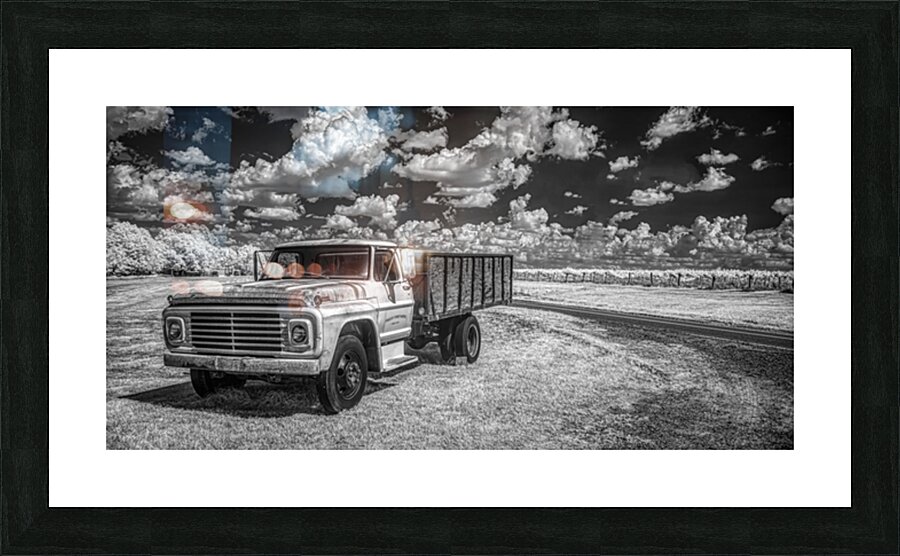 Vineyard Harmony: A Southern Georgia Winery Adventure Picture Frame print