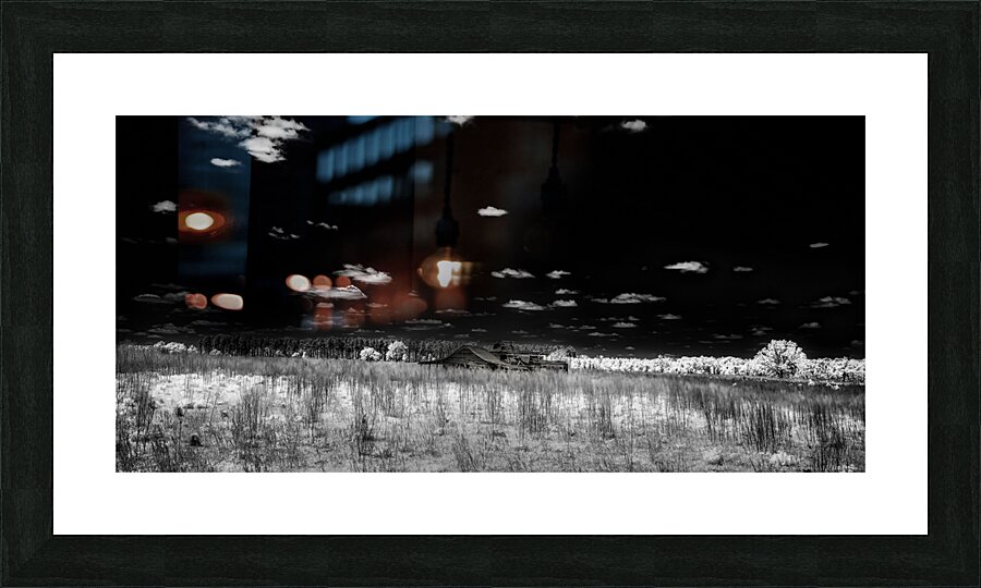 Forgotten Georgia Barn Picture Frame print