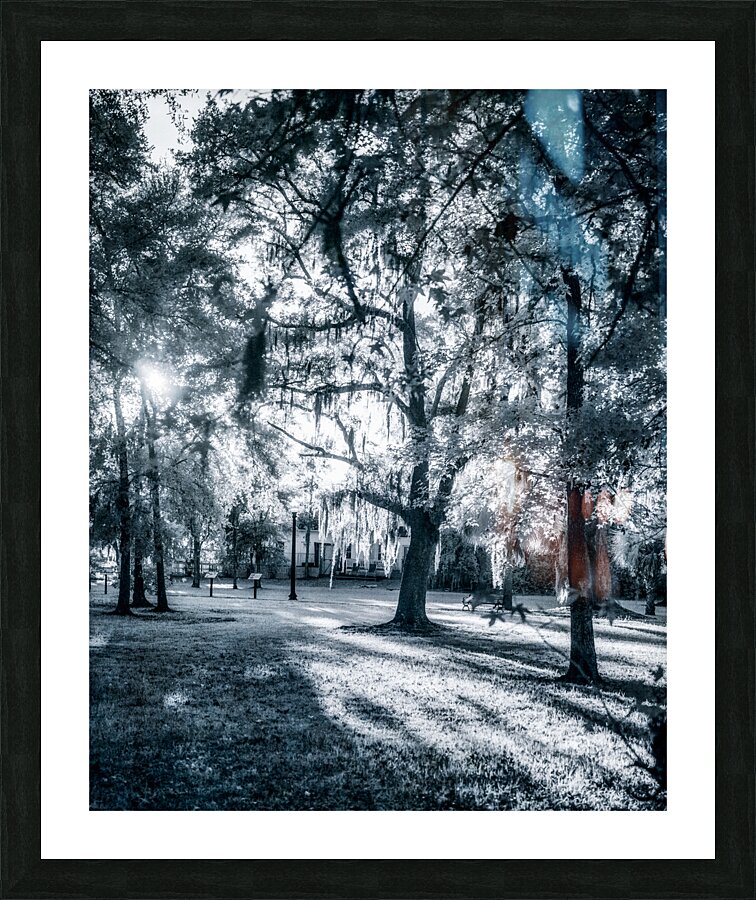 Cold Park Impression et Cadre photo